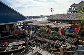 Tonle Sap - Prek Toal floating village - floating houses